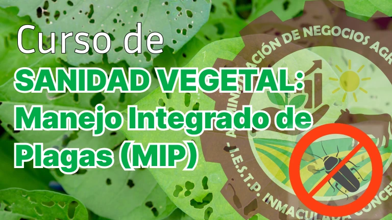 Primera imagen